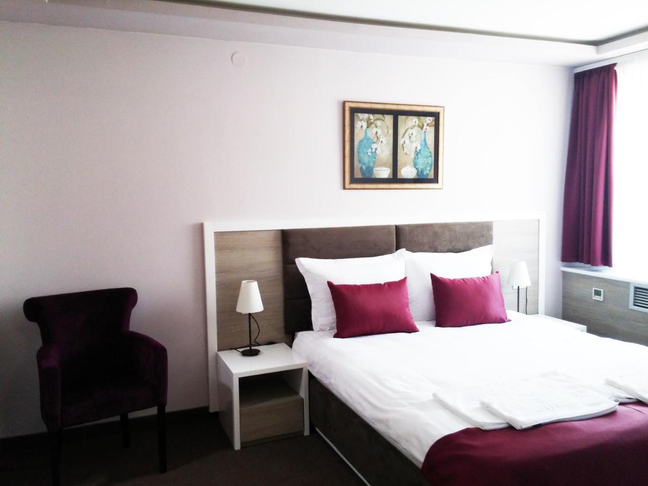 Hotel Ana Lux Spa Pirot Room photo